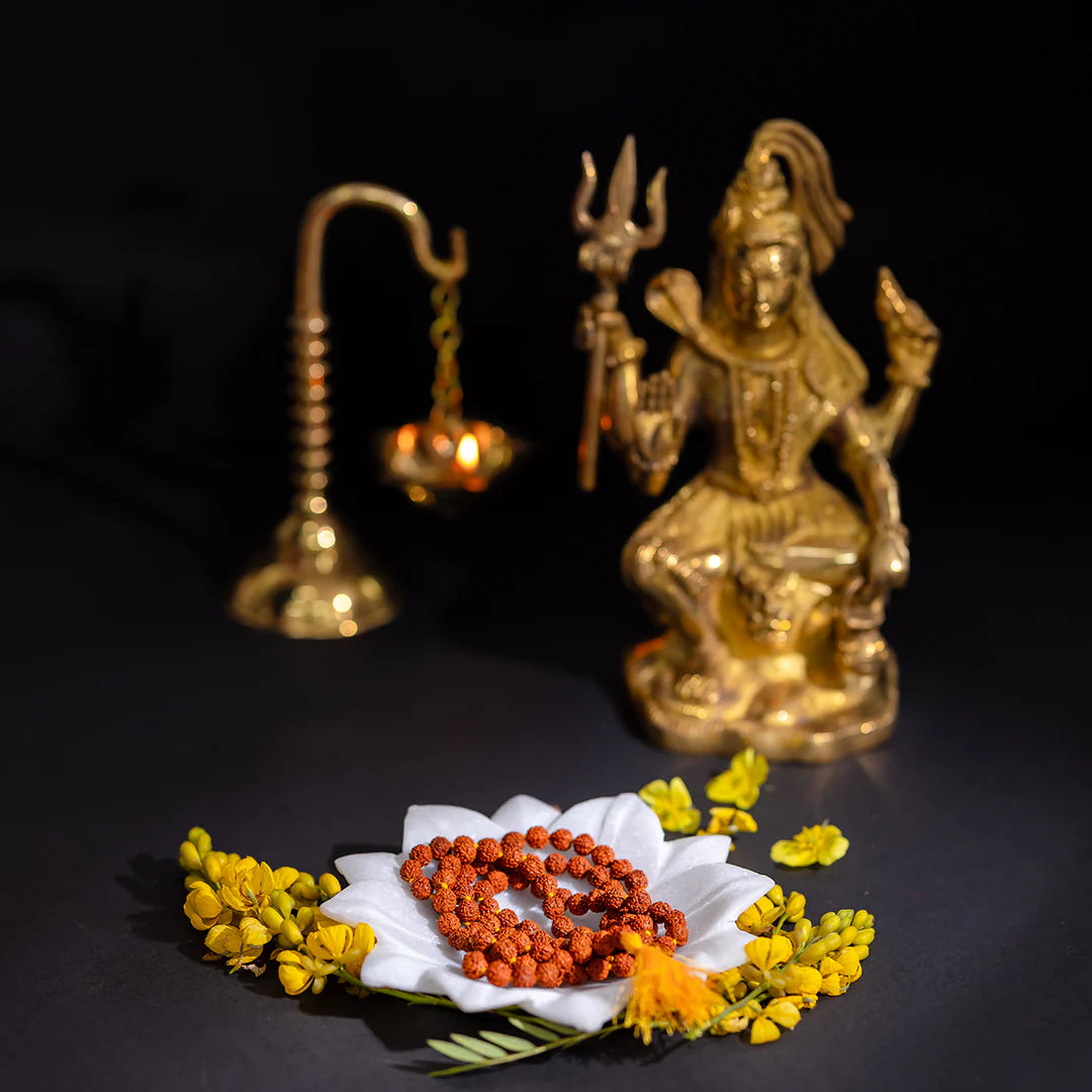 Original Rudraksha Mala (5 Mukhi Mala, 108 beads Mala)